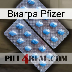 Виагра Pfizer viagra4